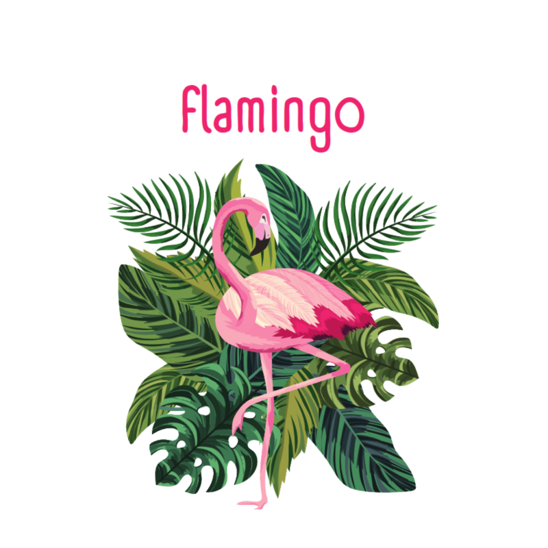 klasthema: flamingo (download)