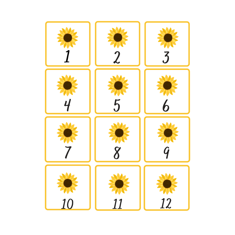 klasnummers: zonnebloemen (download)