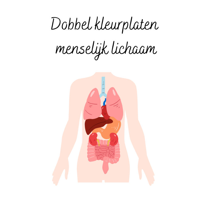 Dobbel kleurplaten: menselijk lichaam (download)